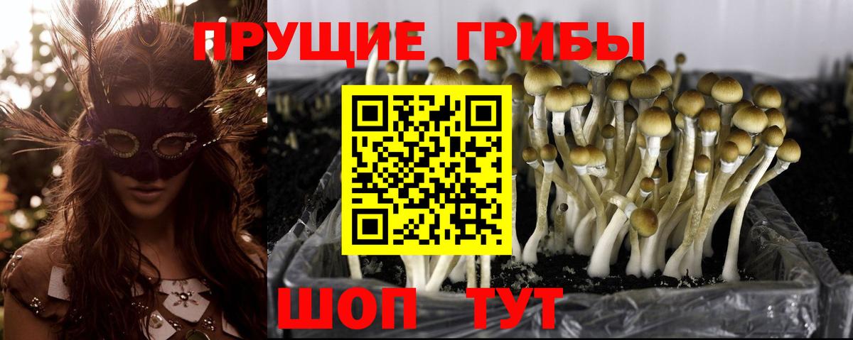 Псилоцибиновые грибы мухоморы  купить   Анапа  Вход с VPN 